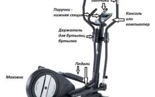 Польза занятий на тренажере эллипсоиде, какие мышцы работают при этом
