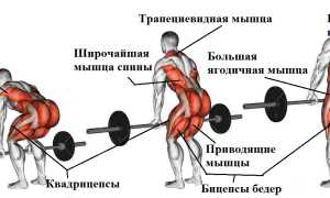 Техника выполнения становой тяги с гантелями, популярные вариации