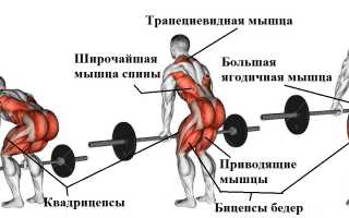 Техника выполнения становой тяги с гантелями, популярные вариации