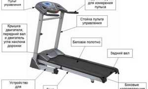 Полезные советы, как бегать на беговой дорожке правильно и эффективно
