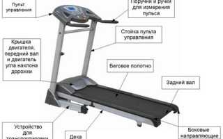 Полезные советы, как бегать на беговой дорожке правильно и эффективно