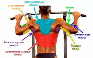 Можно ли накачаться на турнике, как составить программу тренировок