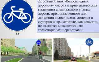 Виды и характеристики велосипедных дорожек, обзор необычных вариантов