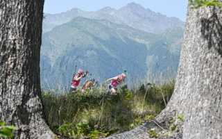 Масс-старт. Особенности и некоторые правила. Другие гонки