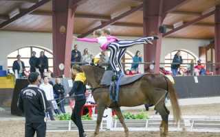 Вольтижировка. Правила и соревнования. Обучение и особенности