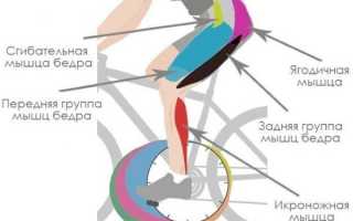 Польза и вред занятий на велотренажере, какие мышцы работают при этом