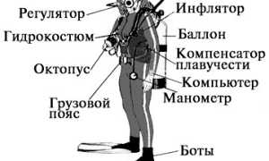 Подводное снаряжение. Комплект и особенности. Как выбрать