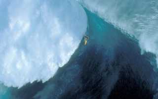 Серфинг. Виды и особенности. Появление и интересные факты