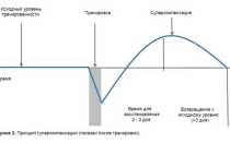 Растяжка мышц после тренировки