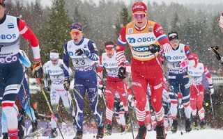 Лыжные гонки. Виды и стили. Плюсы и особенности. Трасса