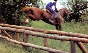 Конный кросс (кросс-кантри). Соревнования и правила. Особенности