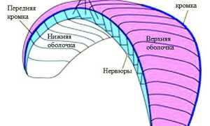Парапланеризм. Оборудование и экипировка. Правда и вымысел
