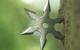 Ниндзюцу. Ниндзя (Синоби) и особенности. Направления подготовки