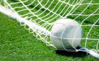 Спортивная сетка. Виды и применение. Материал и особенности