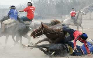 Кок-бору. Виды и правила. Плюсы и минусы. Оосбенности