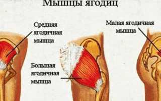 Разгибание бедра в тренажере (отведение ног назад)