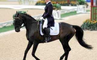 Конное троеборье. Виды и соревнования. Правила и особенности