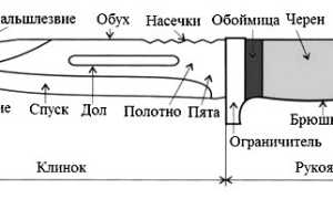 Охотничий нож. Виды и устройство. Клинок и рукоять. Особенности