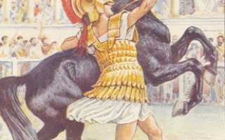 Выездка. Программы и соревнования. Упражнения и экипировка