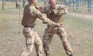 Рукопашный бой. Виды и правила. Экипировка и особенности