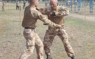 Рукопашный бой. Виды и правила. Экипировка и особенности