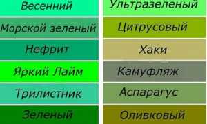 Популярные дизайны и модели зеленых кроссовок, особенности цвета
