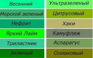 Популярные дизайны и модели зеленых кроссовок, особенности цвета