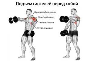 Упражнения по подъему гантелей перед собой из положений стоя и сидя