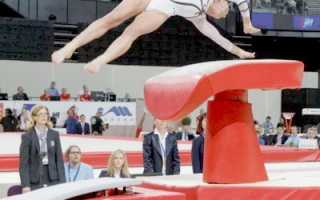 Гимнастический мостик. Виды и конструкция. Применение и работа