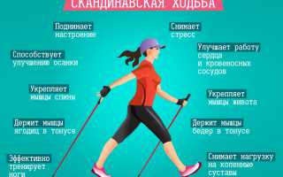 Тонкости освоения скандинавской ходьбы и подбора для нее экипировки
