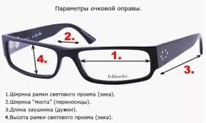 Критерии выбора очков для круглого лица: общие правила, важные нюансы