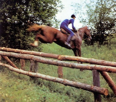 Konnyi kross 2