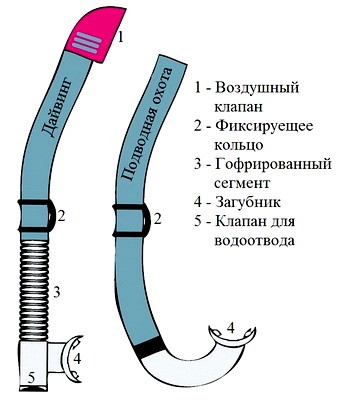 Ustroistvo